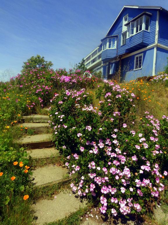 Hostal Faro Azul فالبارايسو المظهر الخارجي الصورة